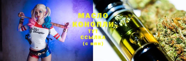твердый Богородицк