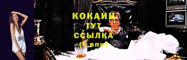соль ск Бронницы
