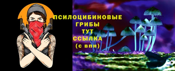 соль ск Бронницы