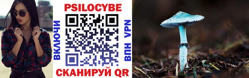 Галлюциногенные грибы Psilocybe  Люберцы 
