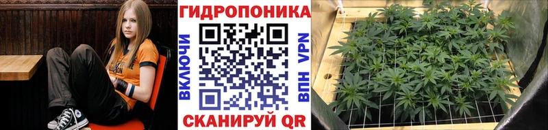 mega маркетплейс  Люберцы  Конопля план 